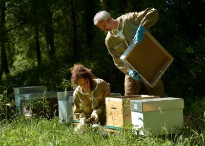 Maud Jaouen et Roland Auffret, apiculteurs récoltants, près de leurs ruches au site du Moulin à Corlay. 