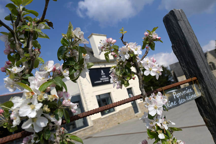 La commune de Saint-Launeuc a obtenu le label de fleurissement 4 fleurs pour ses réalisations. Photo : Thierry Jeandot