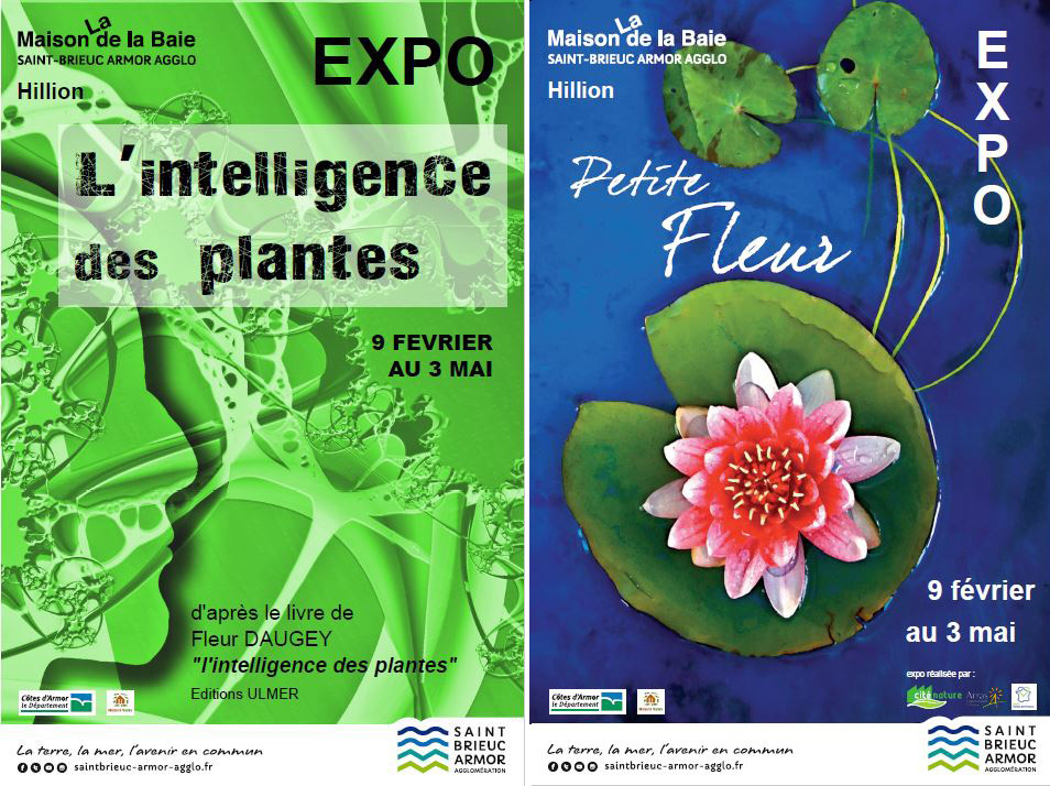 expos_baie
