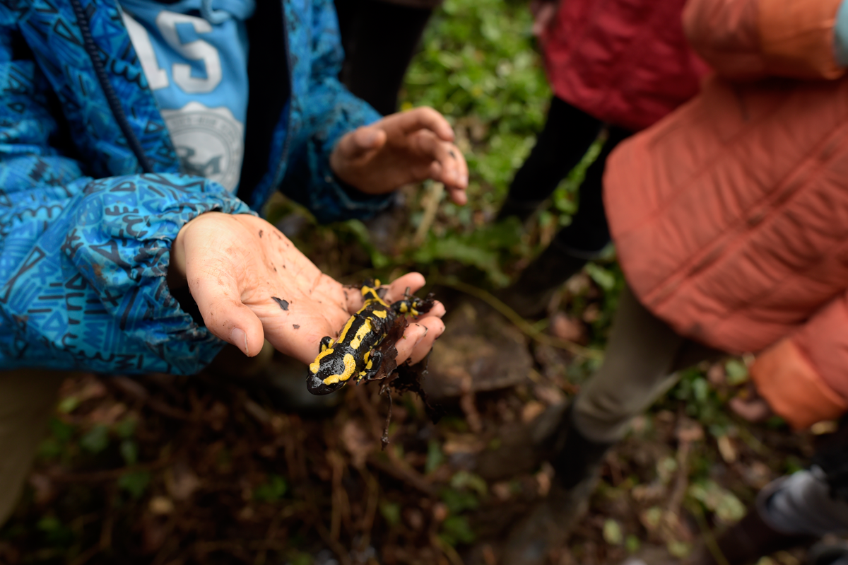 biodiversité