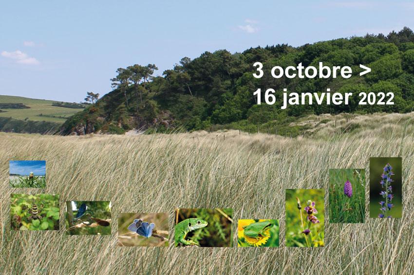 actu_baie