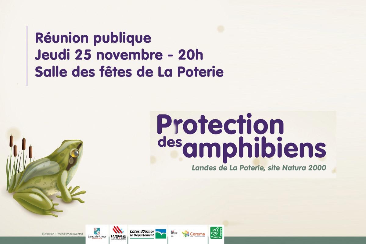 Protection des amphibiens