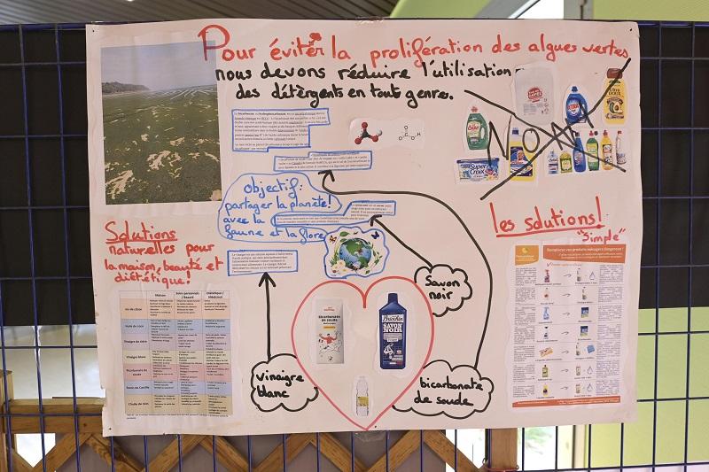 Comment éviter la prolifération des algues vertes ? Au collège Vasarely, on a des éléments de réponse !