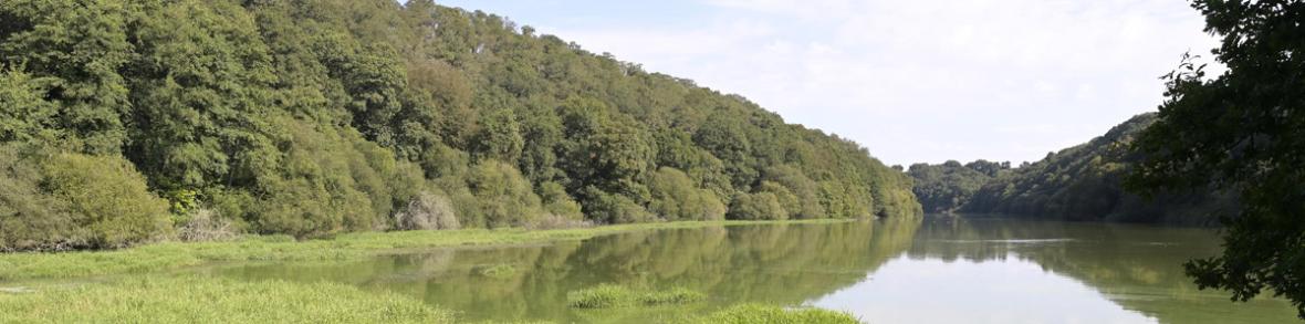 Vue sur le lac de l'Arguenon