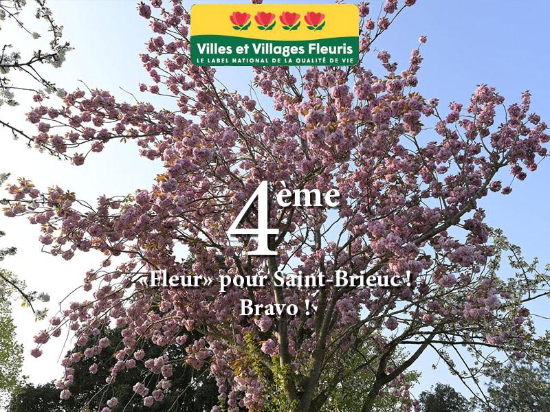 fleur_stbrieuc