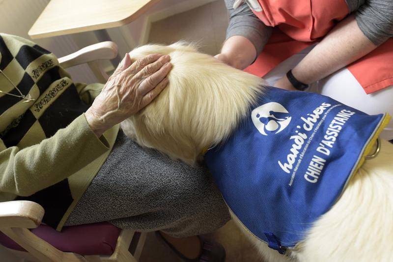 Qu’elles aient un handicap visible ou invisible, de nombreuses personnes relèvent de la MDPH 22 qui les accompagne dans leur vie quotidienne. (© Thierry Jeandot) Deux personnes caressent un chien de personne mal-voyante