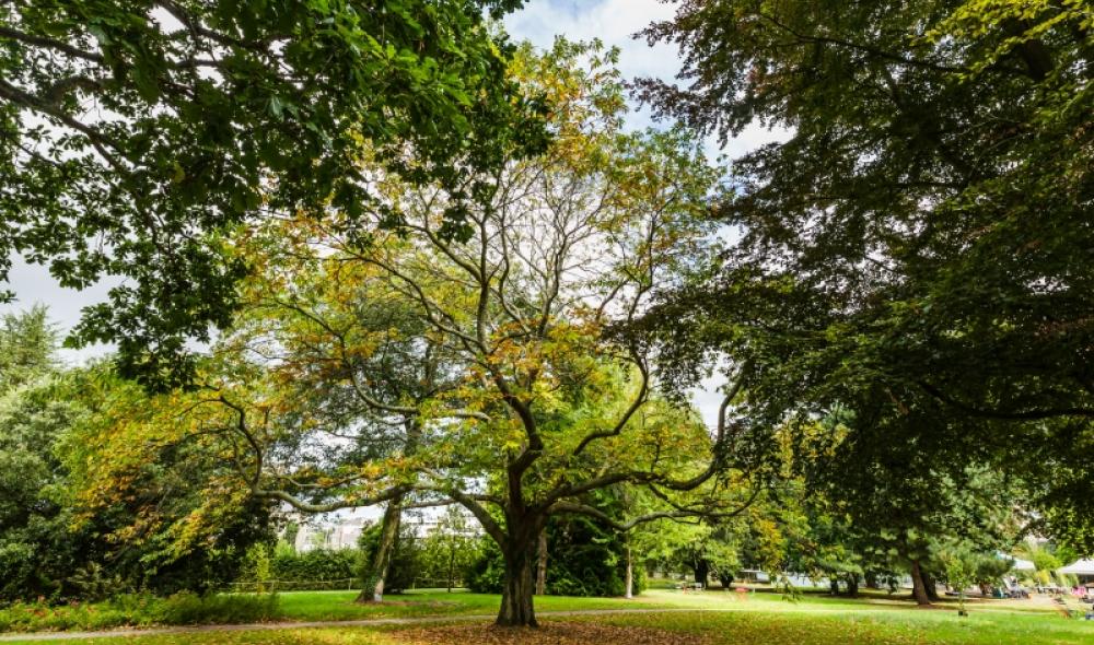 Direction la parc de la Préfecture, ouvert au public à l'occasion des Journées du Patrimoine.