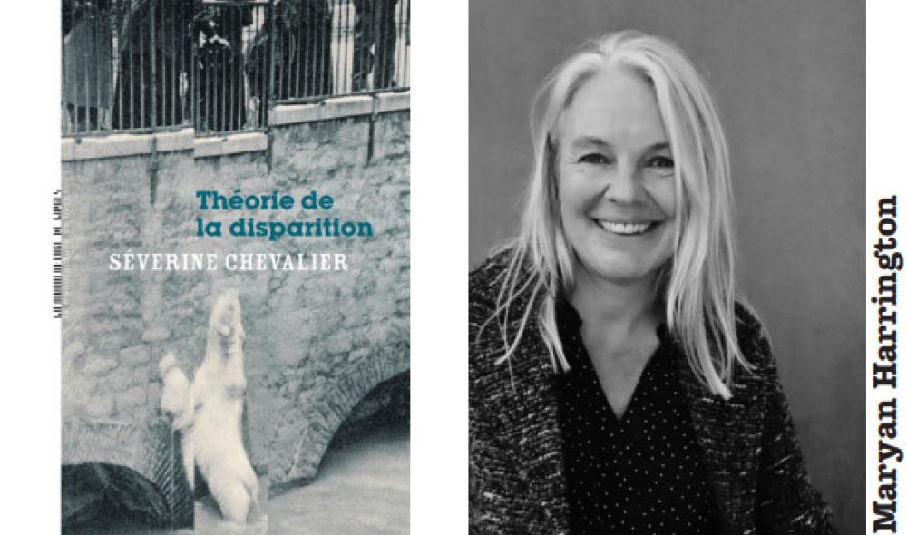Théorie de la disparition - Séverine Chevalier - La Manufacture de Livres